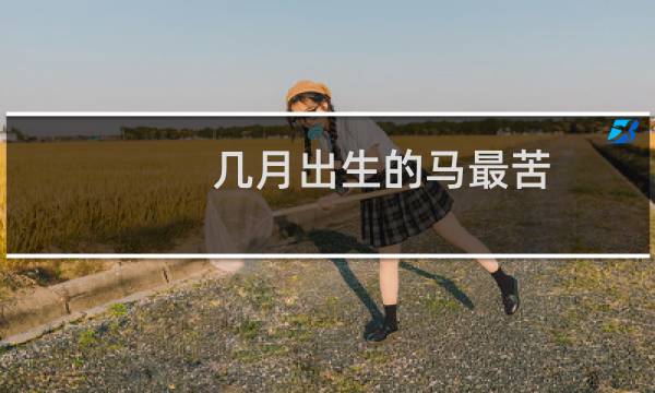 几月出生的马最苦