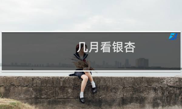 几月看银杏