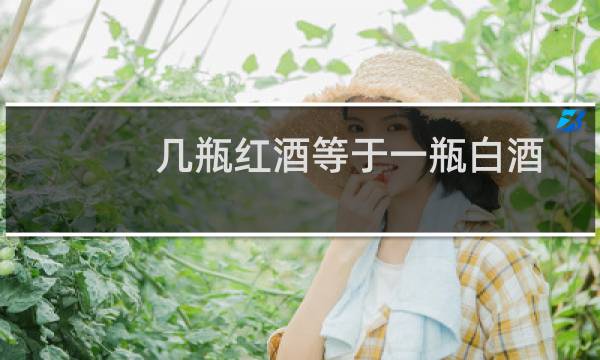 几瓶红酒等于一瓶白酒