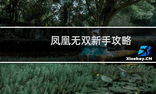 凤凰无双新手攻略