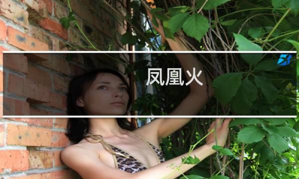 凤凰火 攻略