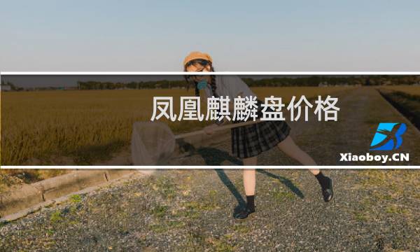 凤凰麒麟盘价格