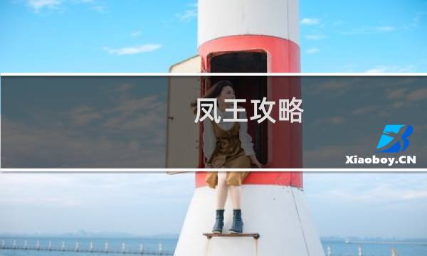 凤王攻略