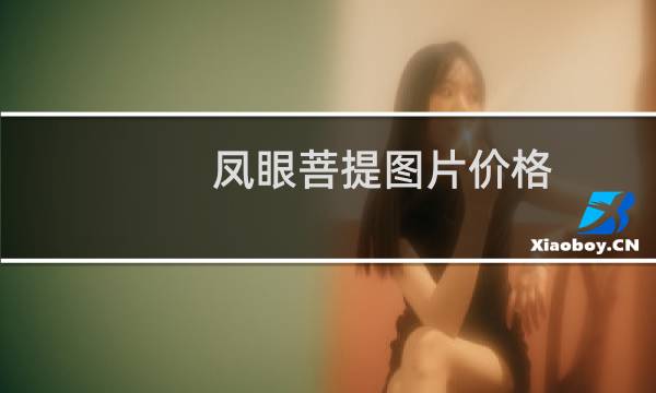 凤眼菩提图片价格