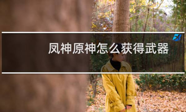 凤神原神怎么获得武器
