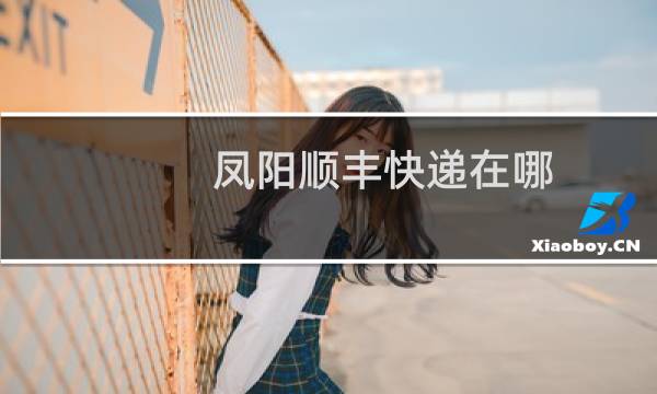 凤阳顺丰快递在哪
