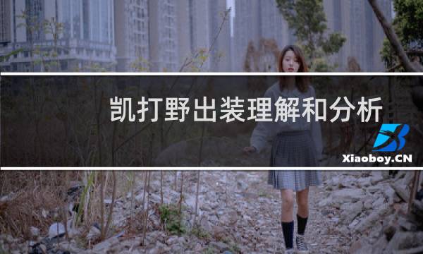 凯打野出装理解和分析
