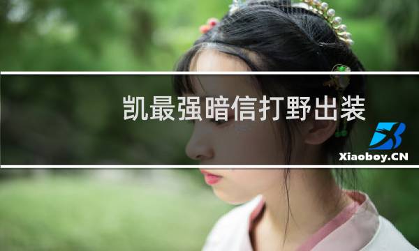 凯最强暗信打野出装