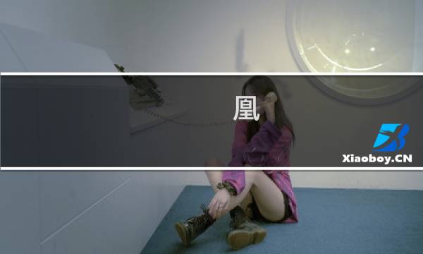 凰 攻略