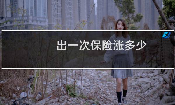 出一次保险涨多少