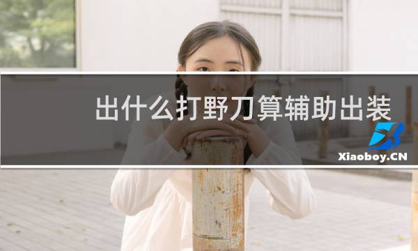 出什么打野刀算辅助出装