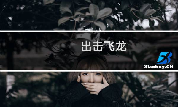 出击飞龙 攻略