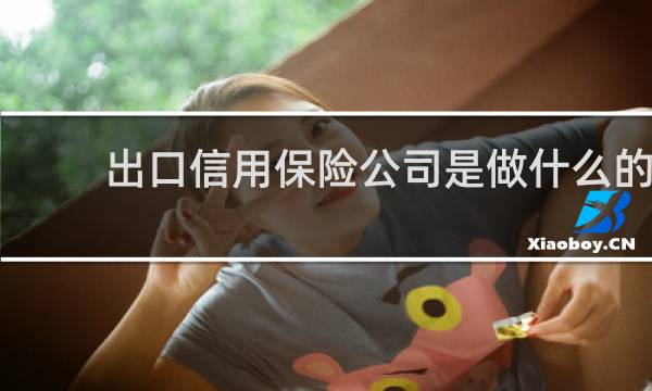 出口信用保险公司是做什么的