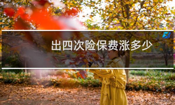 出四次险保费涨多少