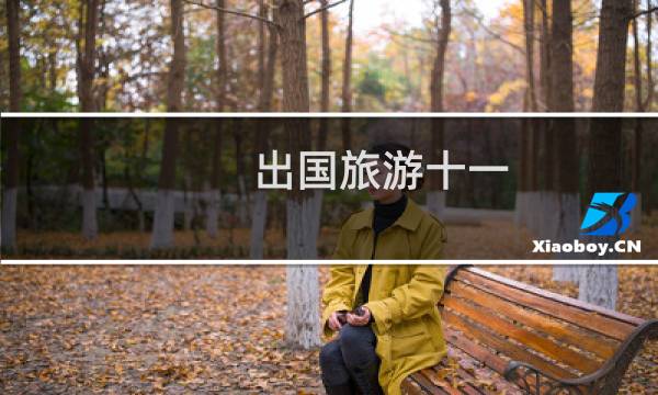 出国旅游十一