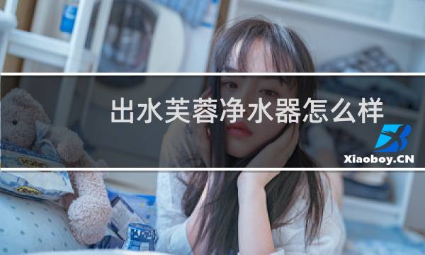 出水芙蓉净水器怎么样