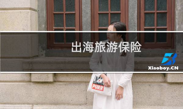 出海旅游保险
