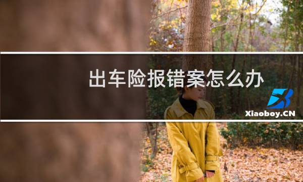 出车险报错案怎么办