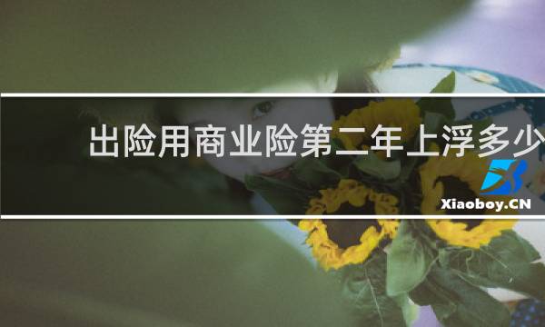 出险用商业险第二年上浮多少