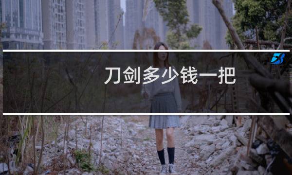 刀剑多少钱一把