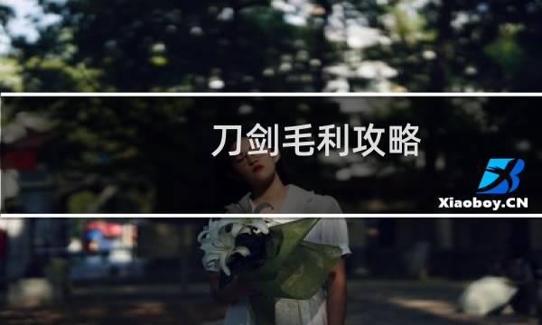 刀剑毛利攻略