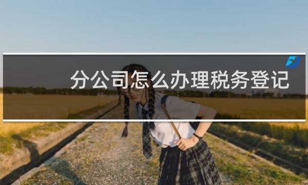 分公司怎么办理税务登记