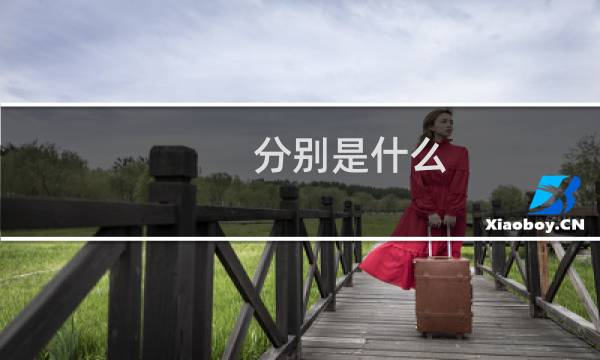 分别是什么?