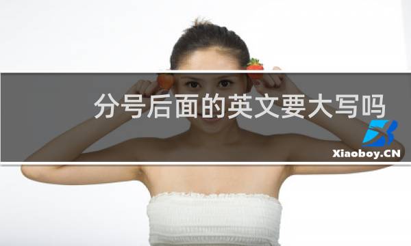 分号后面的英文要大写吗