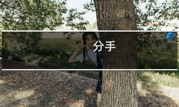 分手 攻略