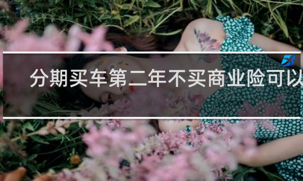 分期买车第二年不买商业险可以吗