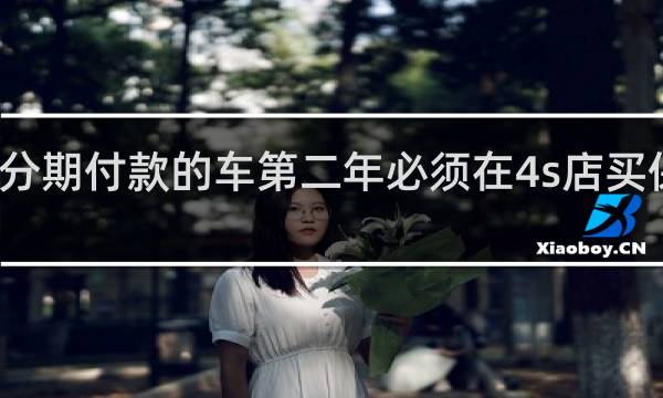 分期付款的车第二年必须在4s店买保险吗