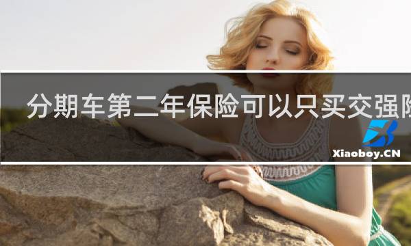 分期车第二年保险可以只买交强险吗