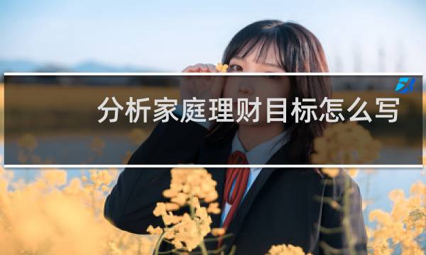 分析家庭理财目标怎么写