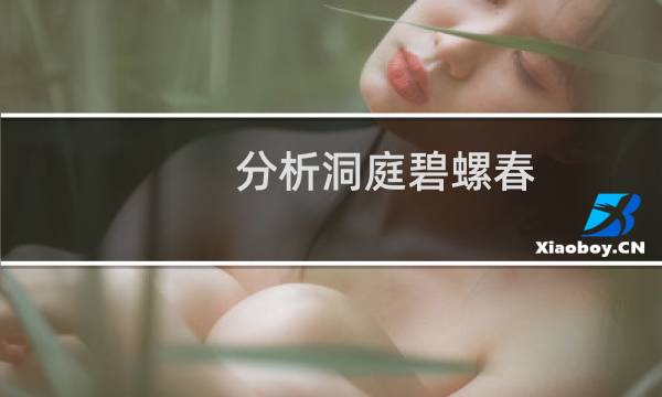 分析洞庭碧螺春