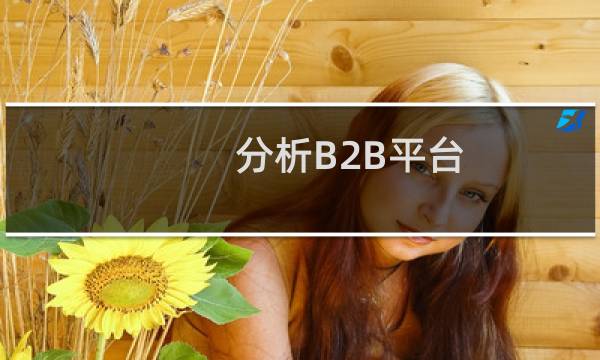 分析B2B平台