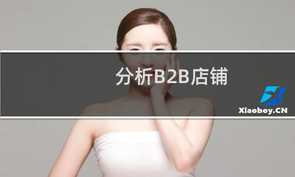 分析B2B店铺