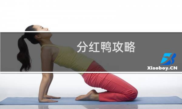 分红鸭攻略