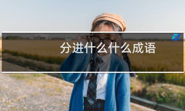 分进什么什么成语