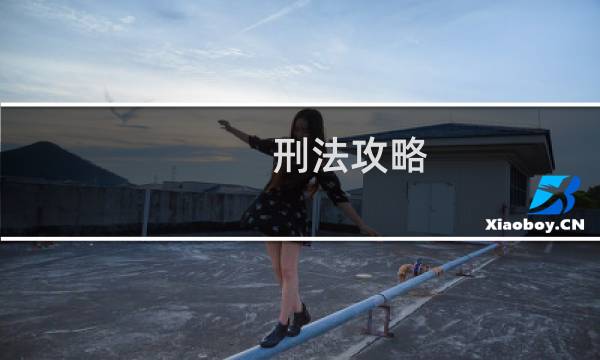 刑法攻略 电子版