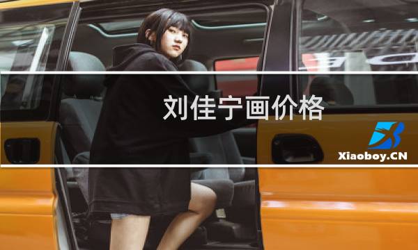 刘佳宁画价格