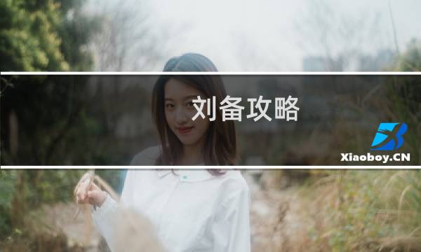 刘备攻略 大神