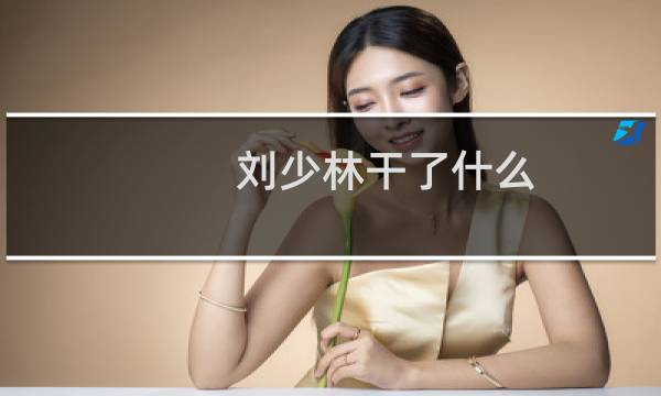 刘少林干了什么