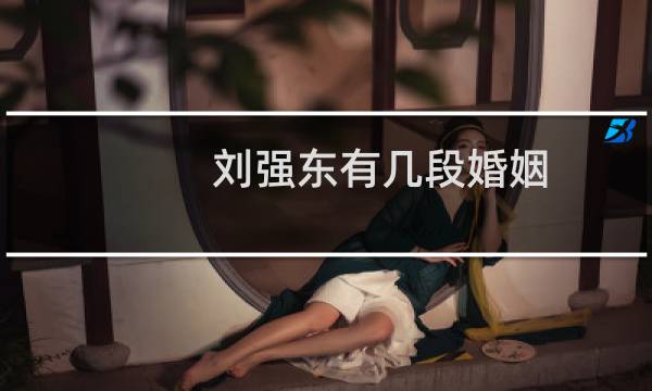 刘强东有几段婚姻