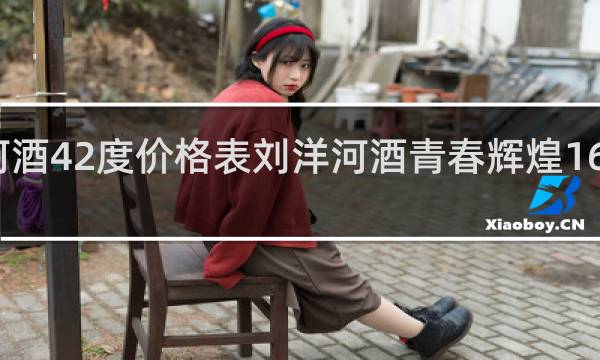 刘洋河酒42度价格表刘洋河酒青春辉煌16多少钱一瓶