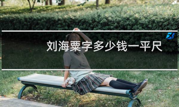 刘海粟字多少钱一平尺