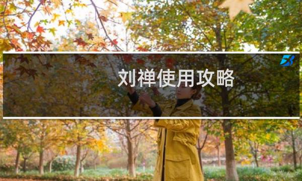 刘禅使用攻略
