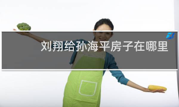 刘翔给孙海平房子在哪里
