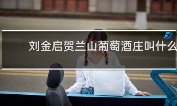 刘金启贺兰山葡萄酒庄叫什么