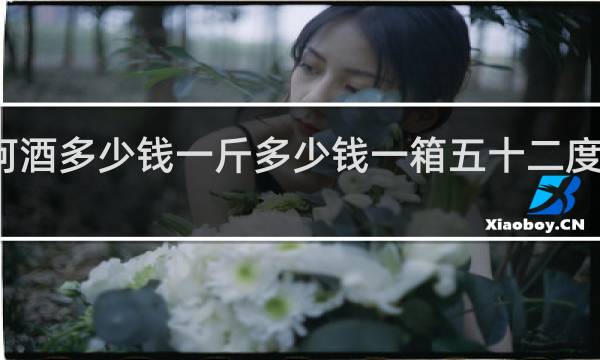 刘阳河酒多少钱一斤多少钱一箱五十二度多少钱一箱