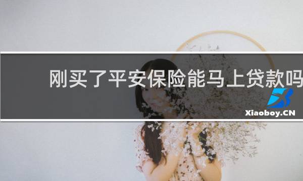 刚买了平安保险能马上贷款吗
